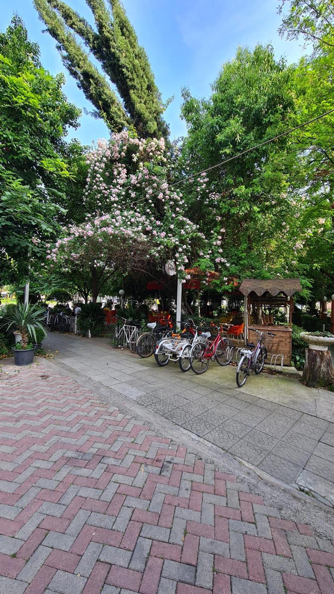 Dei Cozy Apartment Shkodra Exterior foto