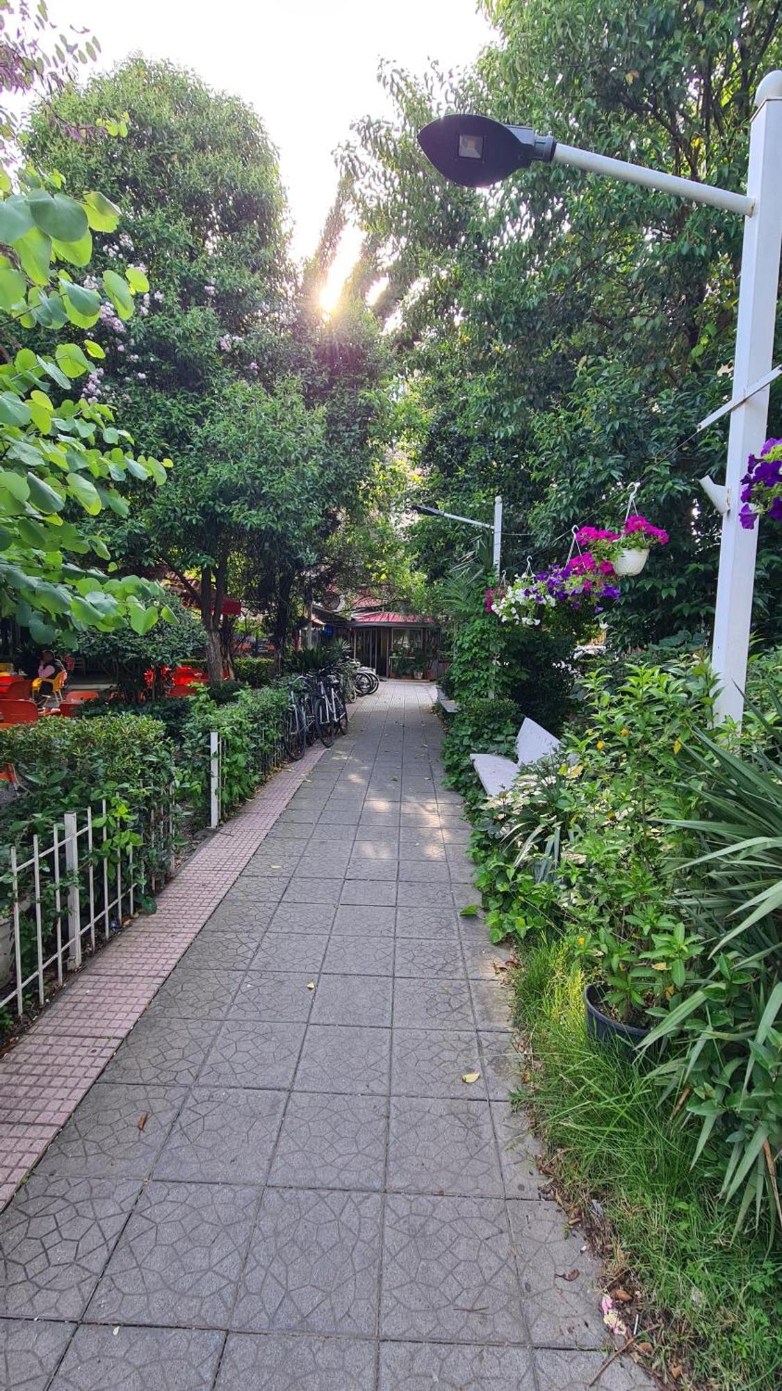 Dei Cozy Apartment Shkodra Exterior foto